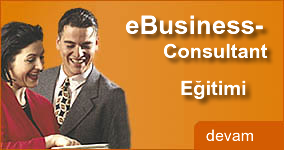 eBusiness Consultant EÄ‘itimi